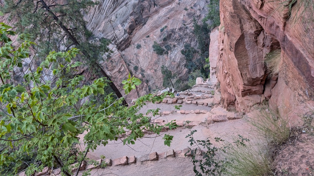 High-angle view of zig-zagging trail on a canyon wall with green trees
