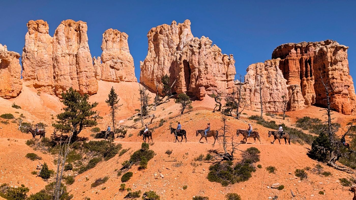 Mule train through Bryce Canyon hoodoos, Utah